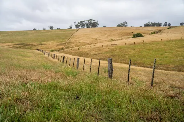 electric wire fence on a wooden pine post fence post on a farm in australia