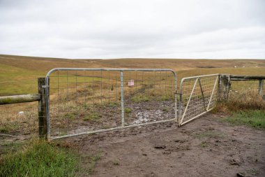 Avustralya 'da bir çiftlik hayvanlarının çiftliğinde çit hattına çiftlik kapısını kapattı. 