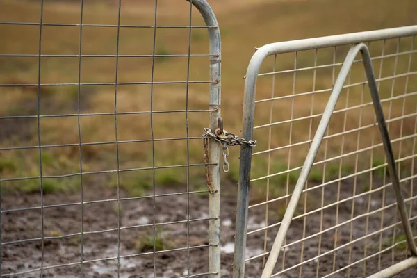 shut farm gate on a fence line on a livestock farm in australia