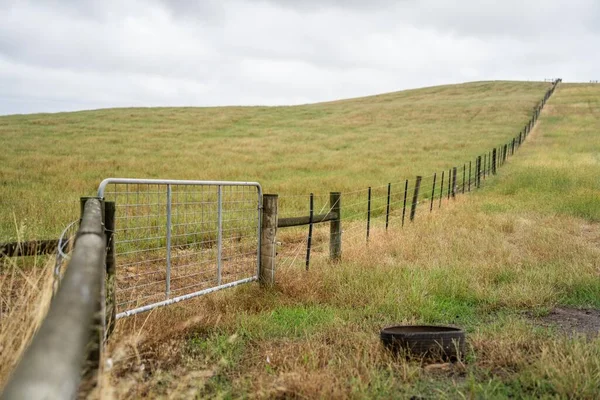 shut farm gate on a fence line on a livestock farm in australia
