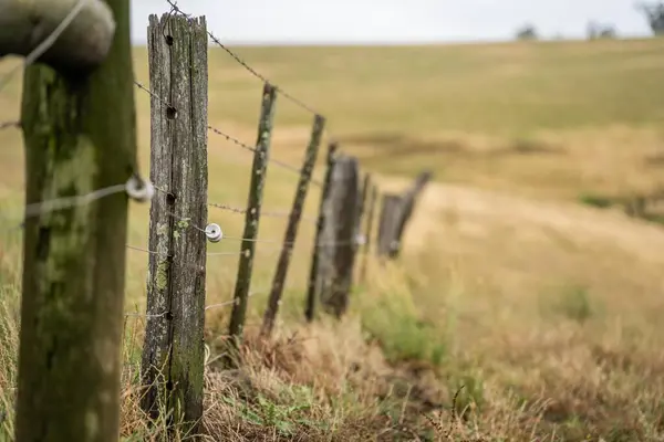 electric wire fence on a wooden pine post fence post on a farm in australia in spring