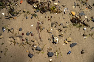 Sahildeki taşlar ve çakıl taşları