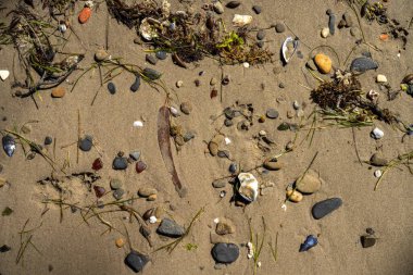 Sahildeki taşlar ve çakıl taşları