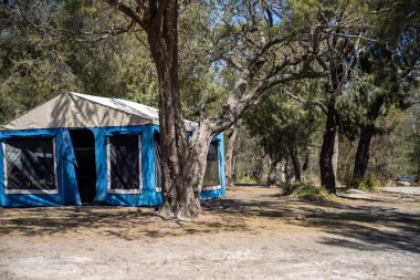 Avustralya 'da yaz aylarında ormanda bir parkta kamp kuran karavan çadırı.
