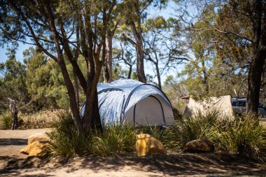 İzole edilmiş bir kamp alanında kamp yapan mavi çadırlı çadırlar ve karavanlar.