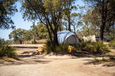 Avustralya 'da yaz aylarında ormanda bir parkta kamp kuran karavan çadırı.