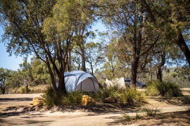 Avustralya 'da yaz aylarında ormanda bir parkta kamp kuran karavan çadırı.