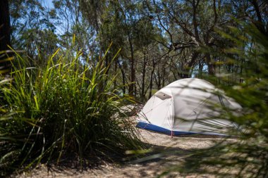 İzole edilmiş bir kamp alanında kamp yapan mavi çadırlı çadırlar ve karavanlar.