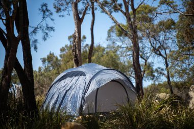 Ormandaki bir kamp alanında, gaz ocağında yemek pişirmek. Mavi bir karavanda yemek pişirmek. Milli parktaki çalılıklarda bir çadırda eğleniyorum.