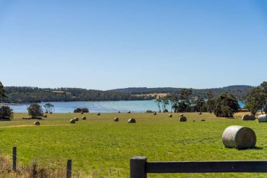 Bir çiftlik ve çiftlikteki depolama alanında saman balyaları. hayvan yemi 