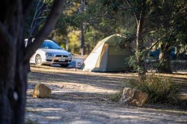 Avustralya 'da yaz aylarında ormanda bir parkta kamp kuran karavan çadırı.