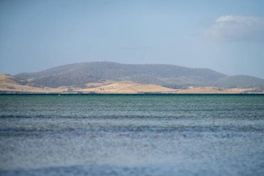 Tazmanya plaj adası yazın okyanus manzarası