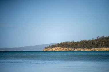 Avustralya sahilinde büyüyen kıyı bitkileri. Ulusal parktaki okyanus kıyısındaki bir uçurumun kenarındaki yerel sahil bitkileri.
