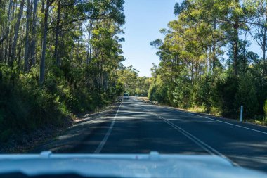 Bir karavanla gezen turist doğayı keşfediyor. Ormanda bir raod üzerinde araba sürüyor. Otoyolda araba sürüyor.