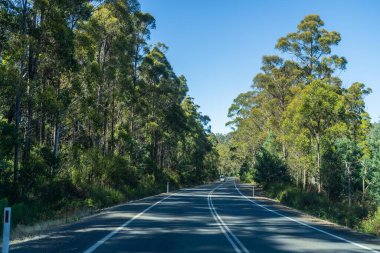 Bir karavanla gezen turist doğayı keşfediyor. Ormanda bir raod üzerinde araba sürüyor. Otoyolda araba sürüyor.