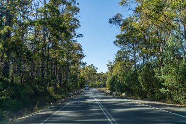 Bir karavanla gezen turist doğayı keşfediyor. Ormanda bir raod üzerinde araba sürüyor. Otoyolda araba sürüyor.