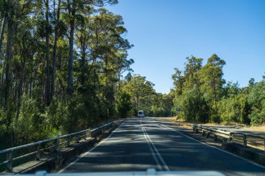 Bir karavanla gezen turist doğayı keşfediyor. Ormanda bir raod üzerinde araba sürüyor. Otoyolda araba sürüyor.