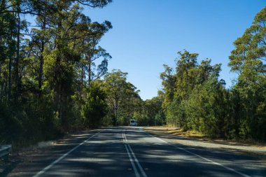 Bir karavanla gezen turist doğayı keşfediyor. Ormanda bir raod üzerinde araba sürüyor. Otoyolda araba sürüyor.