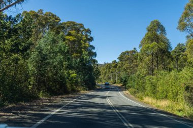 Bir karavanla gezen turist doğayı keşfediyor. Ormanda bir raod üzerinde araba sürüyor. Otoyolda araba sürüyor.