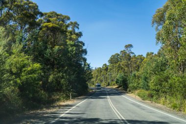 Bir karavanla gezen turist doğayı keşfediyor. Ormanda bir raod üzerinde araba sürüyor. Otoyolda araba sürüyor.