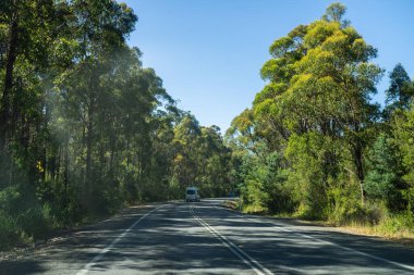 Bir karavanla gezen turist doğayı keşfediyor. Ormanda bir raod üzerinde araba sürüyor. Otoyolda araba sürüyor.