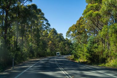 Bir karavanla gezen turist doğayı keşfediyor. Ormanda bir raod üzerinde araba sürüyor. Otoyolda araba sürüyor.