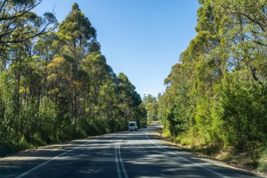 Bir karavanla gezen turist doğayı keşfediyor. Ormanda bir raod üzerinde araba sürüyor. Otoyolda araba sürüyor.