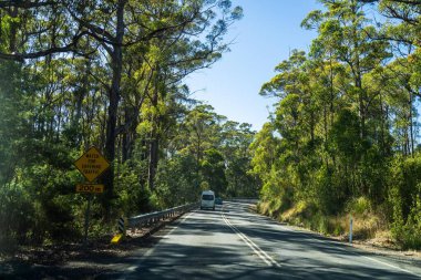 Bir karavanla gezen turist doğayı keşfediyor. Ormanda bir raod üzerinde araba sürüyor. Otoyolda araba sürüyor.