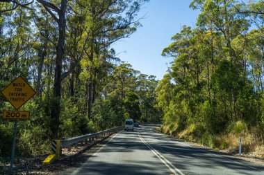 Bir karavanla gezen turist doğayı keşfediyor. Ormanda bir raod üzerinde araba sürüyor. Otoyolda araba sürüyor.