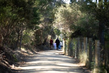 Avusturalya 'da bir parkta yürüyorum. 