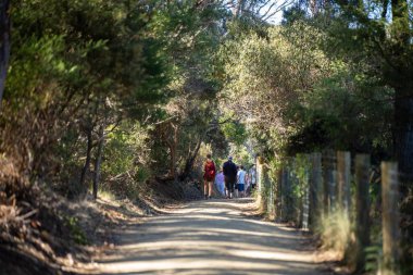 Avusturalya 'da bir parkta yürüyorum. 