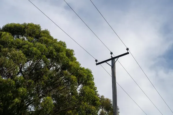 stock image Powerlines in the bush in Australia. Power poles a fire hazard 