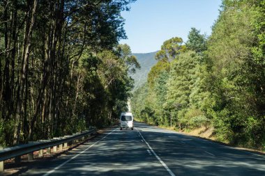 Bir karavanla gezen turist doğayı keşfediyor. Ormanda bir raod üzerinde araba sürüyor. Otoyolda araba sürüyor.
