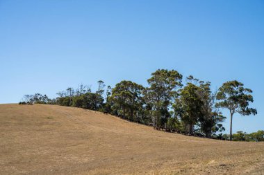 Avustralya 'da kuru, sıcak tarım arazisi. Baharda çıplak toprağın olduğu bir çiftlikte kuraklık.