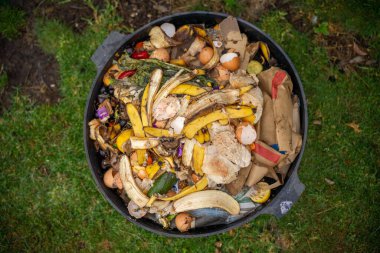 Avustralya 'da solucanların parçaladığı gübre kutusundaki sebze atıkları.