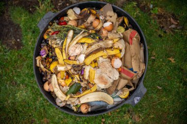 Avustralya 'da gübre yığınındaki solucanlar, organik termohilik gübre dönüşüyor.