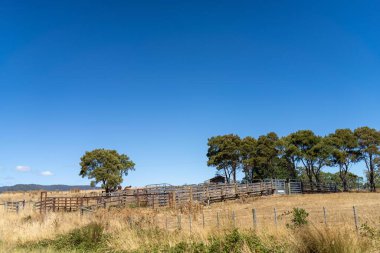 Avustralya 'da kuru, sıcak tarım arazisi. Baharda çıplak toprağın olduğu bir çiftlikte kuraklık.