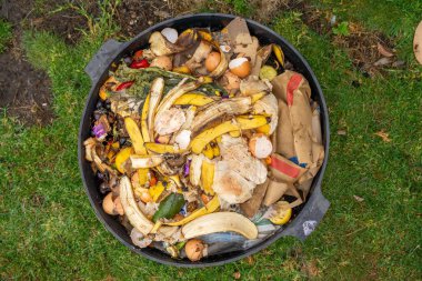 mikroskop altında nematodları ve mantarları olan mikroorganizmalar ve toprak biyolojisi.