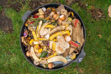 Tazmanya Avustralya 'da gübre yığını, organik termofilik gübre dönüşüyor.