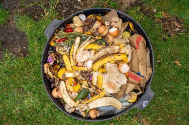 Gübre yığınındaki solucanlar. Bir çiftlikte gübre için toprak biyolojisi içeren termohilik gübre üretiyor.