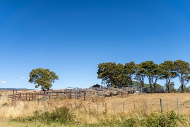 Avustralya 'da kuru, sıcak tarım arazisi. Baharda çıplak toprağın olduğu bir çiftlikte kuraklık.