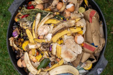 Gübre yığınındaki solucanlar. Bir çiftlikte gübre için toprak biyolojisi içeren termohilik gübre üretiyor.