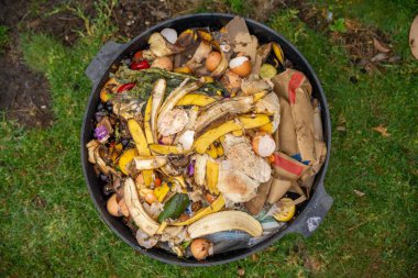 Tazmanya Avustralya 'da gübre yığını, organik termofilik gübre dönüşüyor.