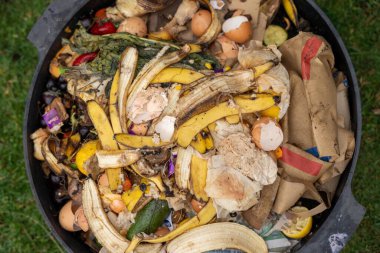 mikroskop altında nematodları ve mantarları olan mikroorganizmalar ve toprak biyolojisi.