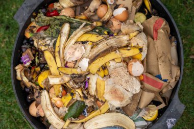 Avustralya 'da gübre yığınındaki solucanlar, organik termohilik gübre dönüşüyor.