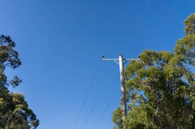 Avustralya 'daki çalılıklarda elektrik hatları. Elektrik direkleri yangın tehlikesi oluşturuyor. 