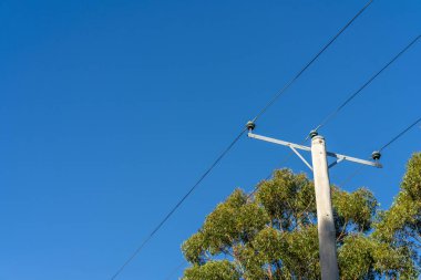 Avustralya 'daki çalılıklarda elektrik hatları. Elektrik direkleri yangın tehlikesi oluşturuyor. 