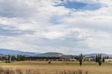 Çayırda uzun kurak yaz otları olan bir çiftlik. 