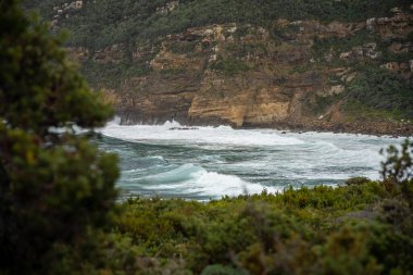 Güzel Rocky Dağı, hiç kimsenin olmadığı güzel bir vahşi doğada, bir gölün üzerinde. Çarpıcı çalı ve deniz kenarındaki orman