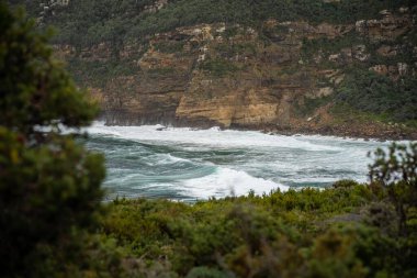 Güzel Rocky Dağı, hiç kimsenin olmadığı güzel bir vahşi doğada, bir gölün üzerinde. Çarpıcı çalı ve deniz kenarındaki orman